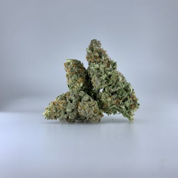 Blueberry Sunset (50s/50i)